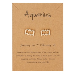 Symbol version of twelve zodiac paper card earrings Aquarius